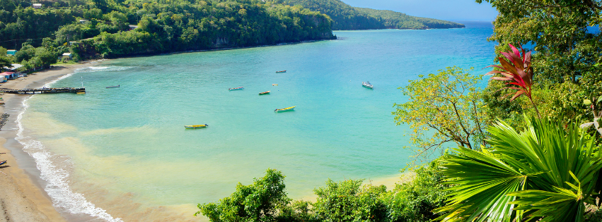 Read our latest global insights